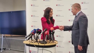 Z. Dolinková: Vláda by sa čoskoro mala zaoberať návrhom k reforme nemocníc