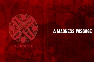 Neural FX - A Madness Passage