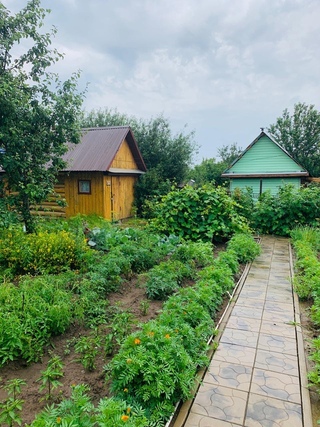 Огород в деревне. Орион. Продам огород. Садоогороды снт. Огород ижевск.