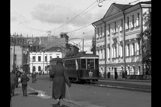 Фото на дереве