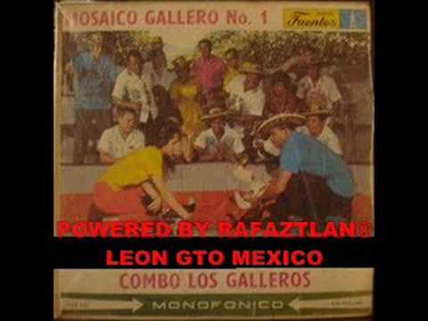 CUMBIA LORANA COMBO LOS GALLEROS POWERED BY