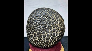 Fake meteorite part 2