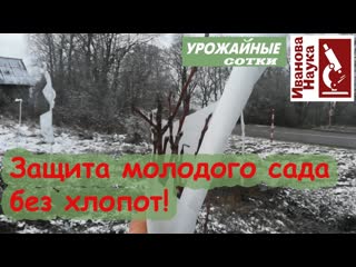 ВМЕСТО ПОБЕЛКИ! Одним ударом: защита сада и от солнца, и от зайцев спанбондом.