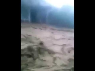На работу сегодня не поеду. А сосед поехал!