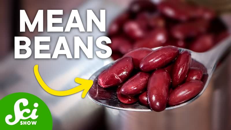 6 Foods That Can Kill You if Prepared