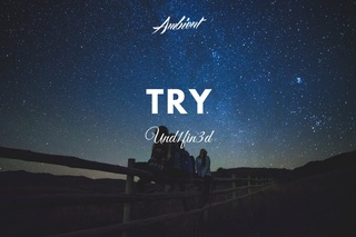 Und1fin3d - Try