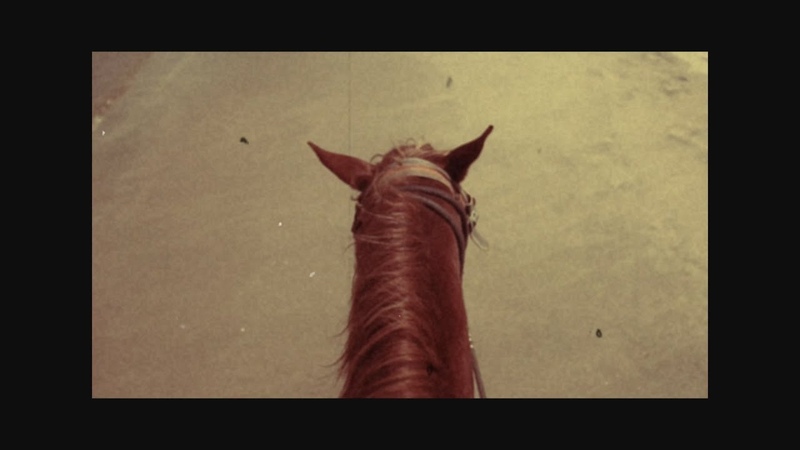 Rio Grande Lyric Video Freedom Fry