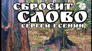 И из лона голубого Широко взмахнув веслом Как яйцо, нам сбросит словоС проклевавшимся птенцом