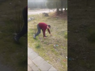 УБИЙСТВО ЩЕНКОВ И СОБАЧЕК КАМНЯМИ КОБУЛЕТИ,Грузия