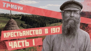ПОЧЕМУ КРЕСТЬЯНЕ УЧАСТВОВАЛИ В РЕВОЛЮЦИИ 1917 |