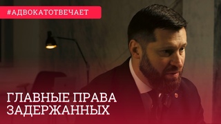 Самые главные и важные права задержанных | Кому лучше звонить | право на два звонка | Первый допрос