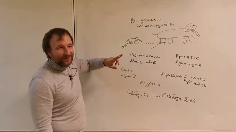 Эффект Слоненка и большая ложь психологии. Почему побег в