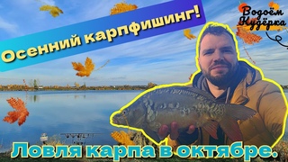 Осенний карпфишинг. Ловля карпа в октябре. Водоём Кудёрка.