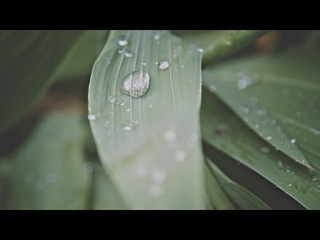 Etude:  // early morning in the province