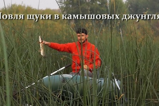 Ловля щуки в камышовых джунглях