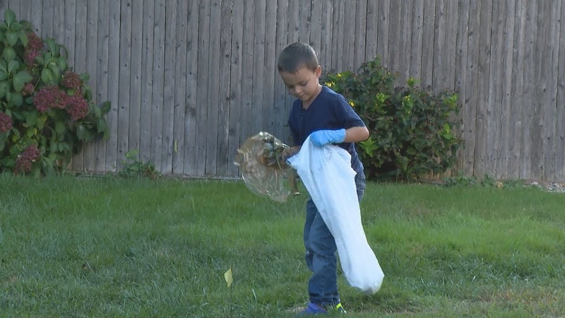 Warwick boy starts poop scooping business to adopt cat, help other shelter