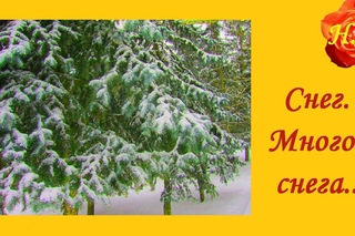 Снег❄️  Много снега❄️  Синий синий … снег❄️