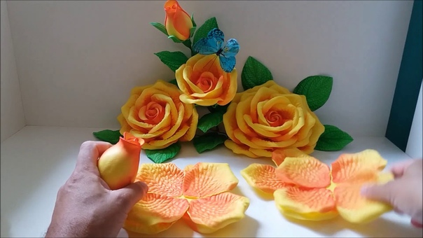 ROSA G (modo pra