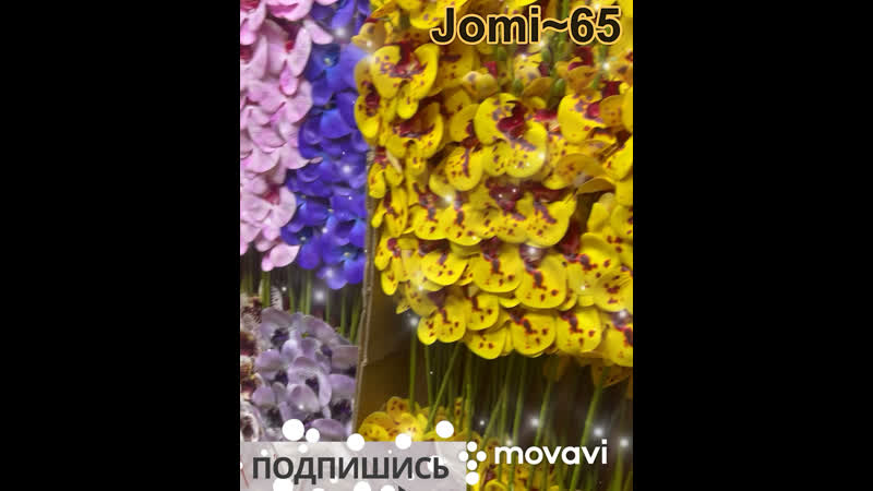 Видео от Jomi