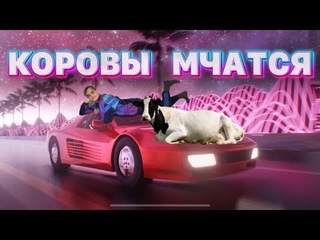 КОРОВЫ МЧАТСЯ