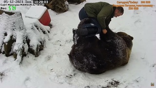 Главное событие для Мансура произошло, пришёл папка
