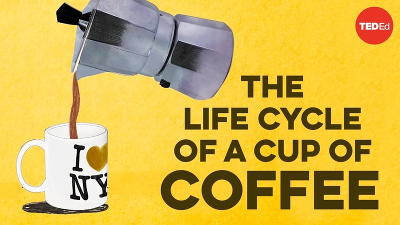 The life cycle of a cup of coffee A. J.