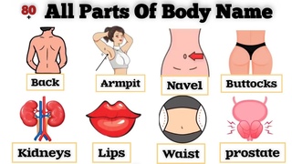 English Vocabulary//80 Common Body Parts Name In English//Body Parts Name// Improve Your Vocabulary.