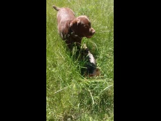 video_20200613_141710.mp4