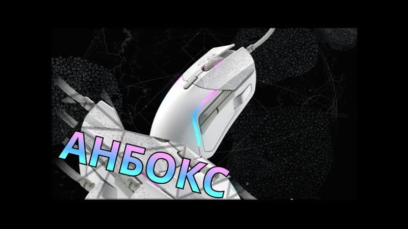 ОЧЕРЕДНАЯ МЫШЬ В КОЛЛЕКЦИЮ, , Распаковка Steelseries Rival 5 Destiny 2