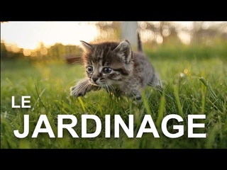 LE JARDINAGE - PAROLE DE CHAT