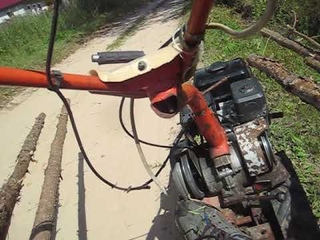 Везу жерди из леса домой