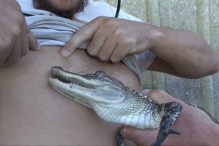 Gator Nipple Bite (This was a terrible idea)