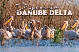 Discover the beauty of the Danube Delta Romania