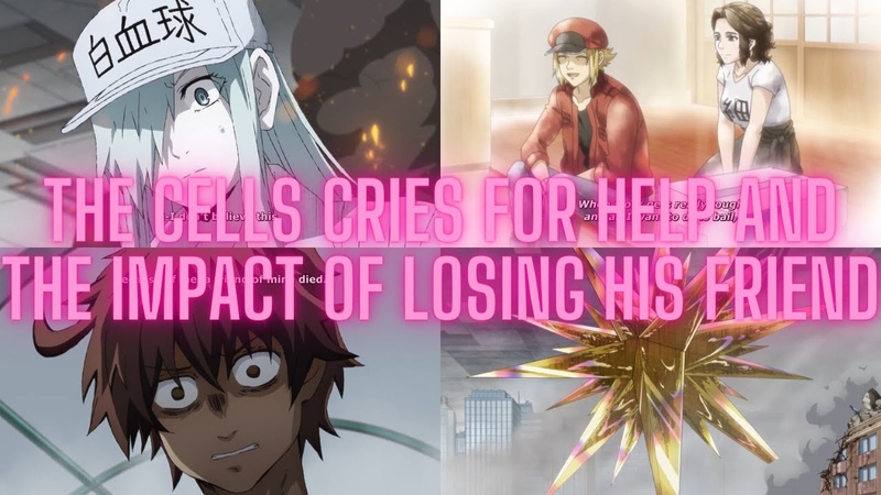 Hataraku Saibou Black TV episode 11