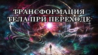 ТРАНСФОРМАЦИЯ ТЕЛА ПРИ ПЕРЕХОДЕ. ПРЕВРАЩЕНИЕ ГУСЕНИЦЫ В БАБОЧКУ