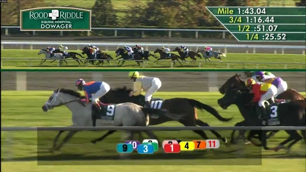 2012 Rood Riddle Dowager (