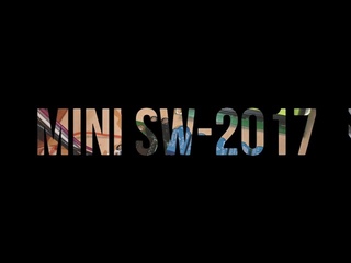 Автоматический антенный тюнер N7DDC в mini SW-2017