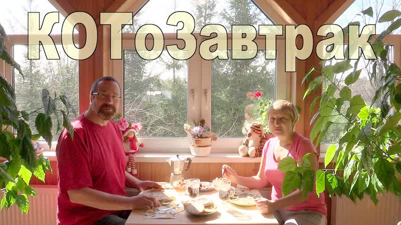 Будни самОизоляции: