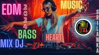 Sri  & Remixes Of Popular Songs. bass Music Mix  Bass Boosted Music
