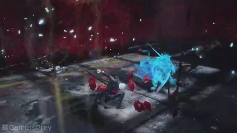 Dmc 5 Special