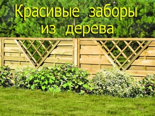Красивые  заборы из дерева.
