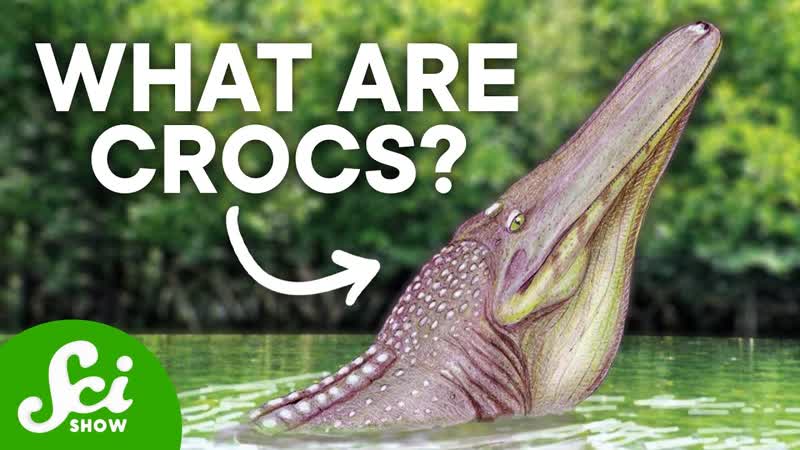The Weird World of Prehistoric