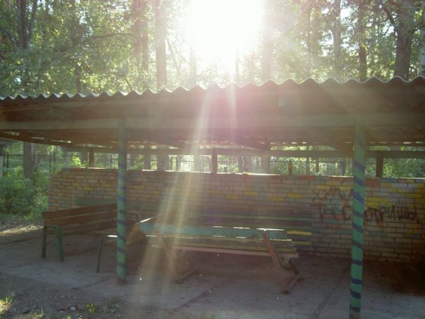 что находится в лисьем носу