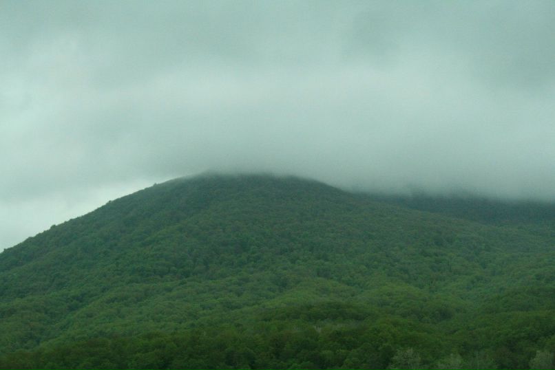 Алексей Скорынин | Краснодар