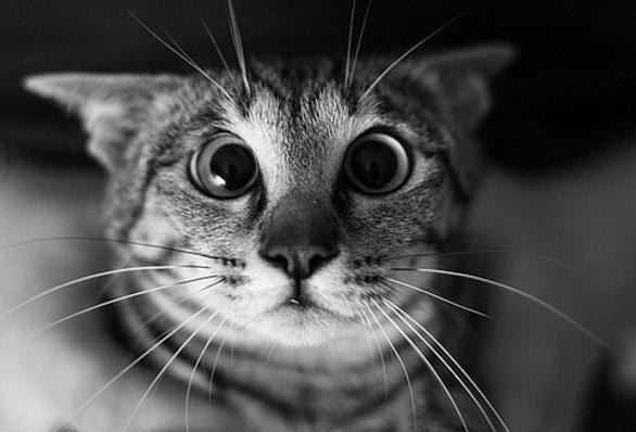 Матвей Прохоров | Екатеринбург