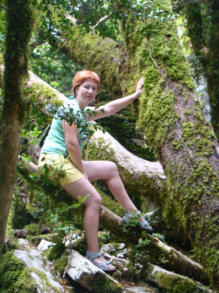 Елена Алфёрова | Бор