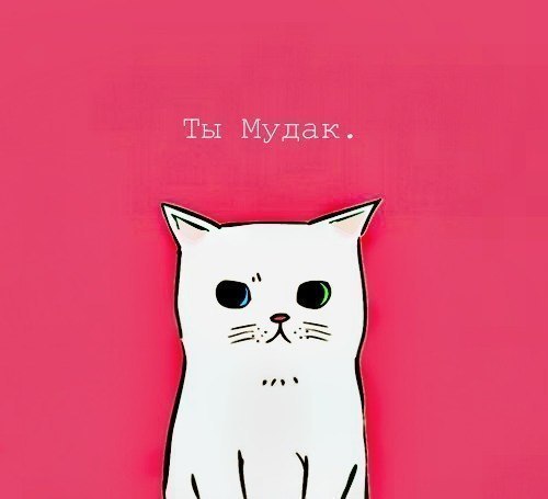 Анна Звягина | Москва