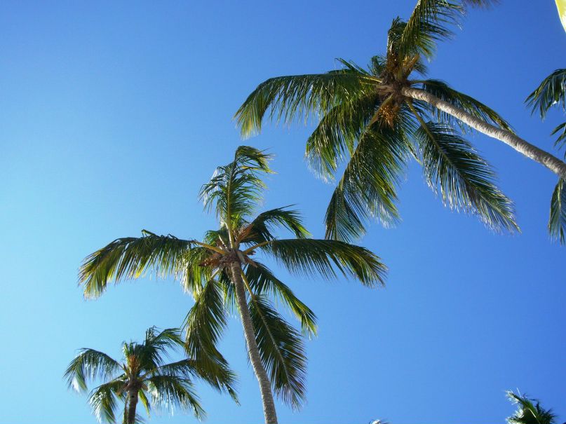 Оксана Сазонова | Москва