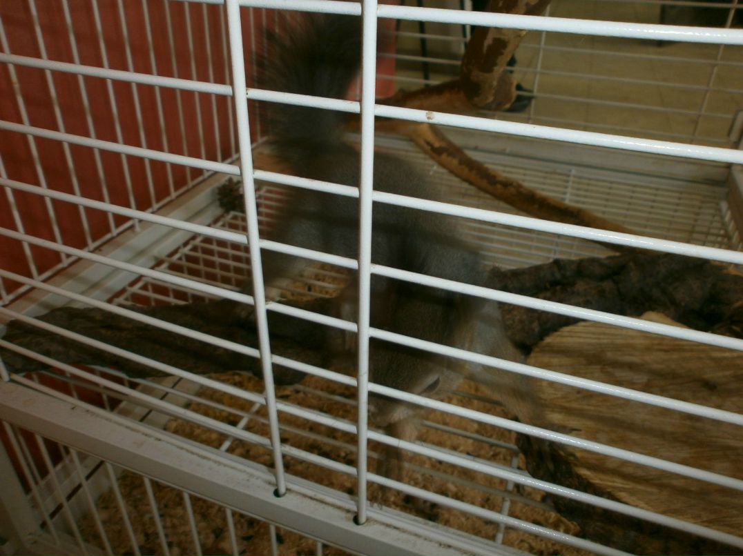 Елена Назарова | Псков