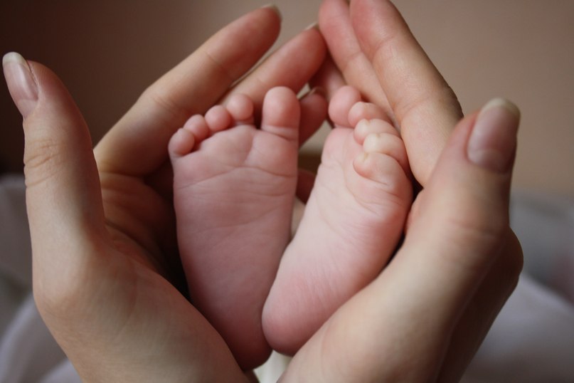 Елизавета Димова | Курган